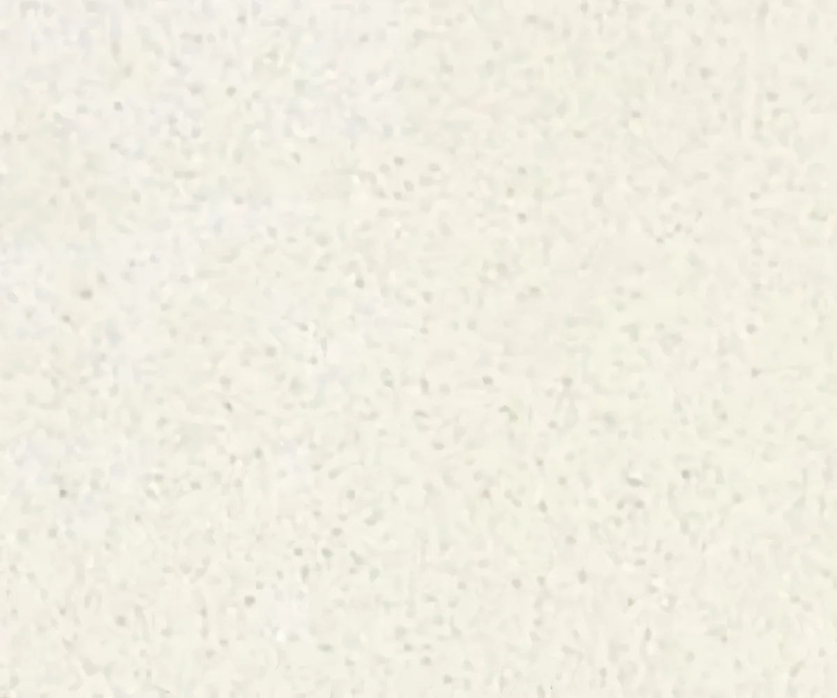 Cuarzo blanco puro liso