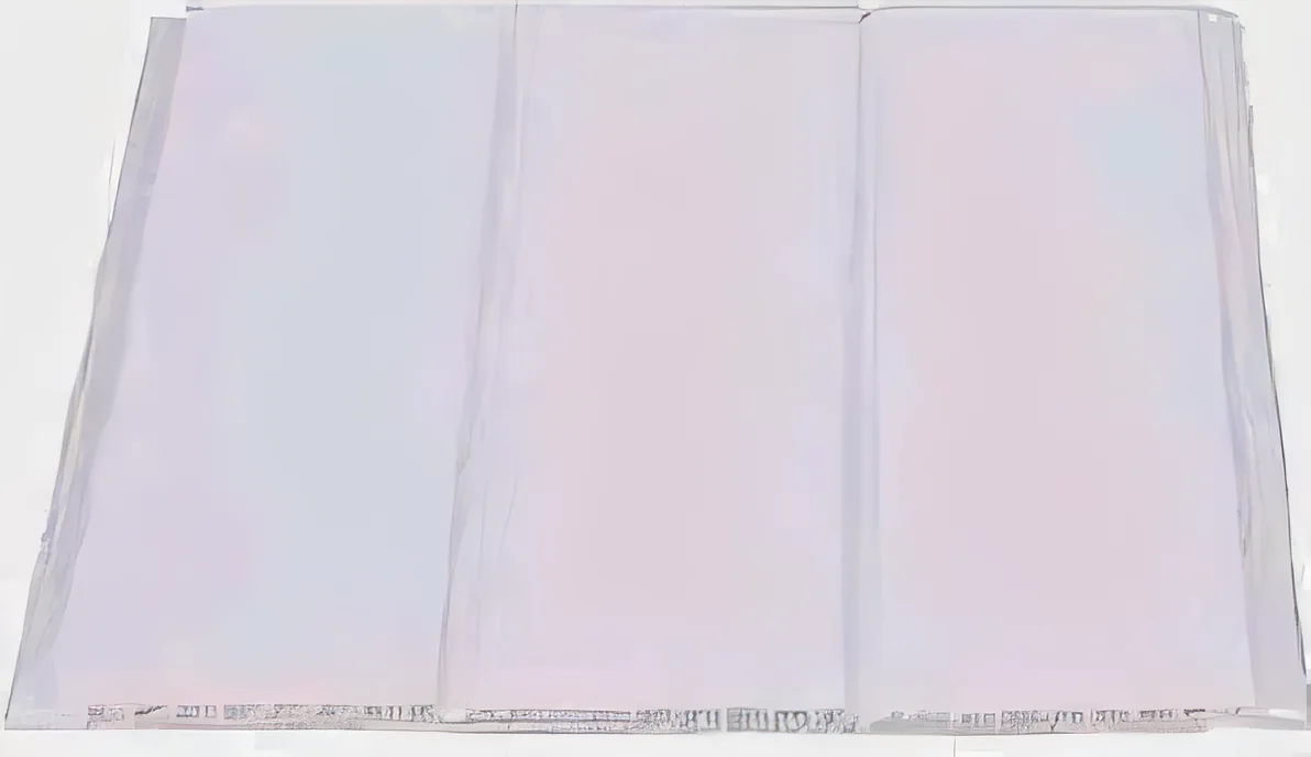 Panel de PVC blanco 11