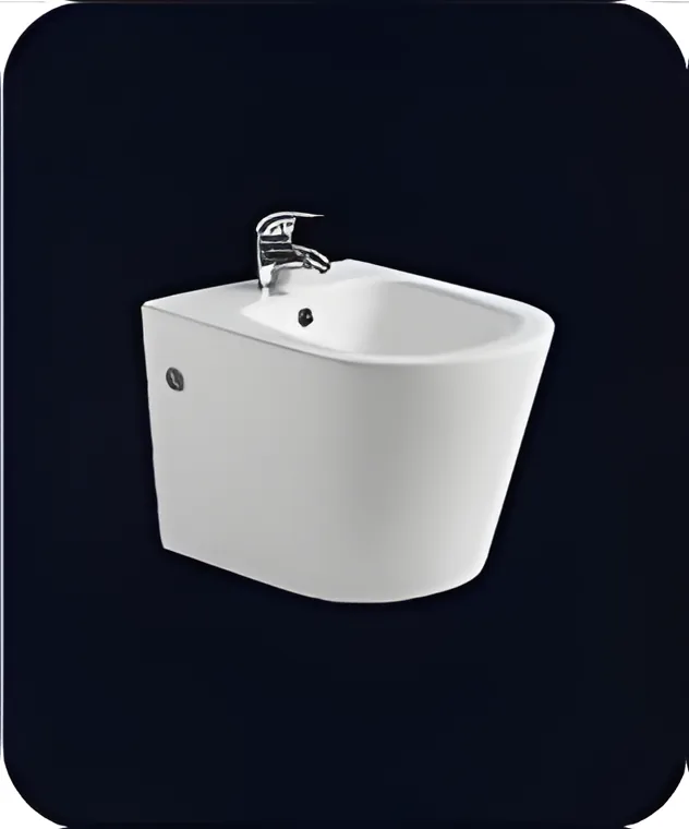 Bidet suspendido 49,5 × 36,5 × 36