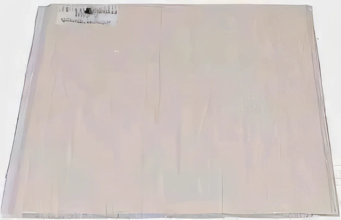 Panel de PVC blanco 10