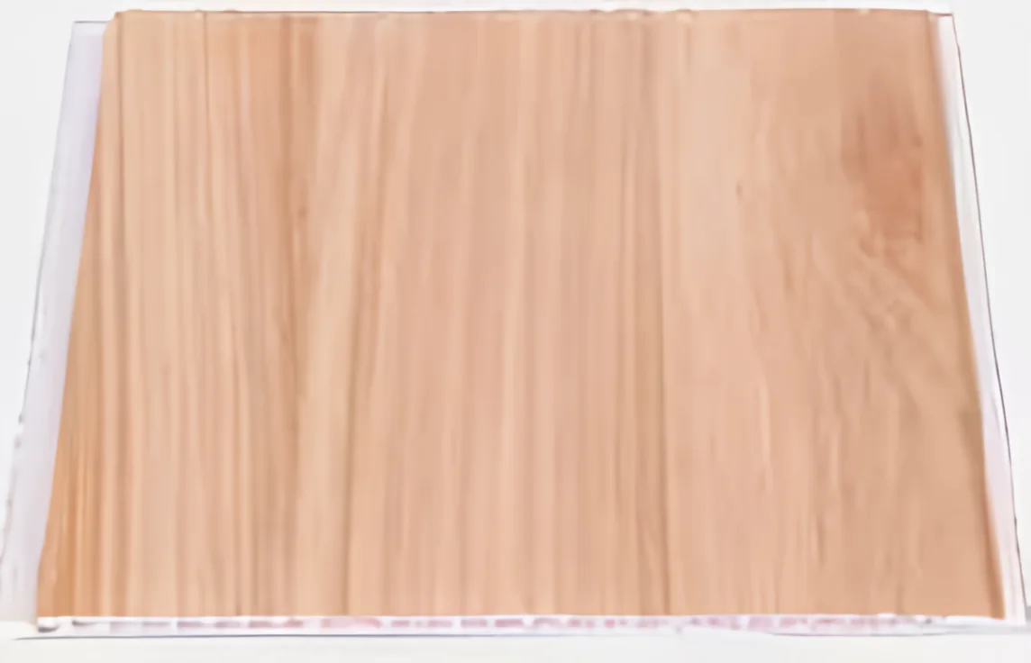 Panel de PVC beige 2