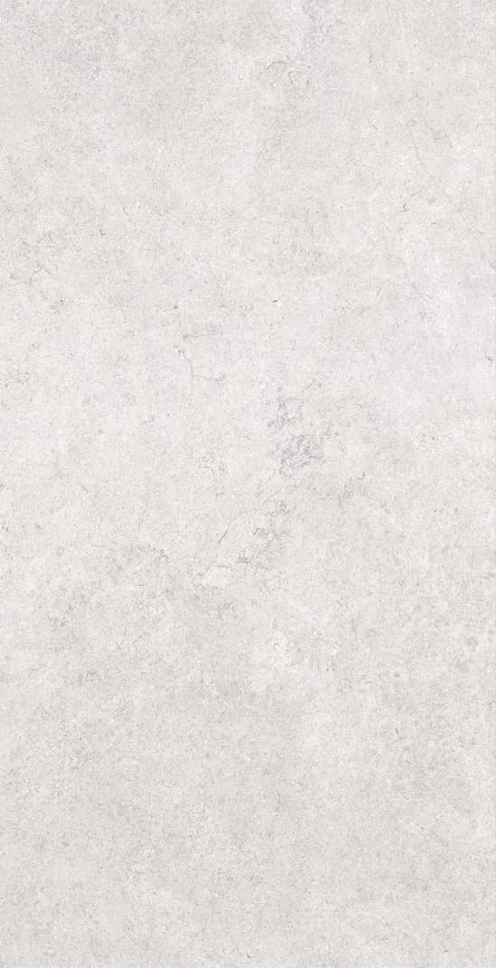 Porcelanato símil granito gris claro · mate total